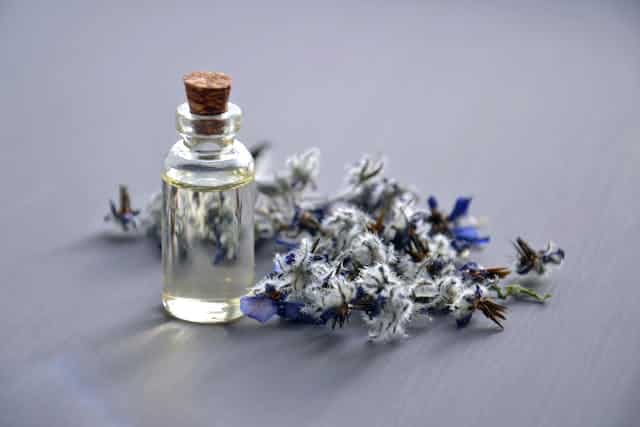 codigo de barras perfume