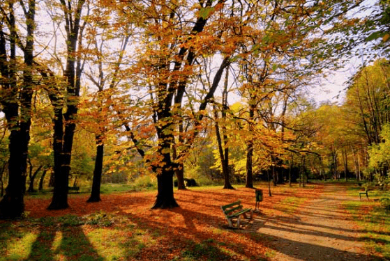 how do changing seasons affect our lifestyle