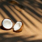 can you eat coconut on carnivore diet