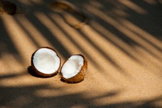 can you eat coconut on carnivore diet