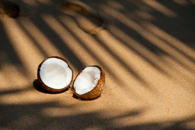 can you eat coconut on carnivore diet