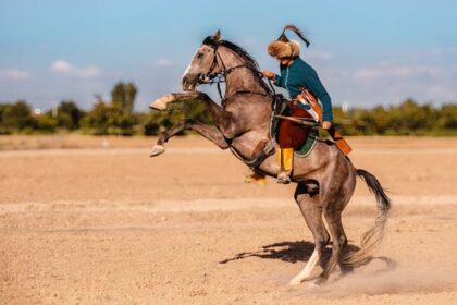 equestrian paralympics 2024 2024