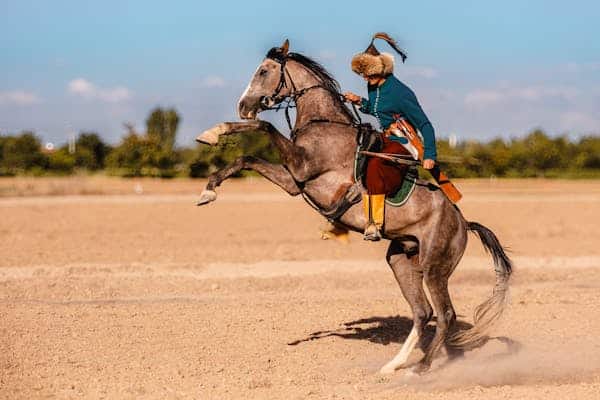 equestrian paralympics 2024 2024